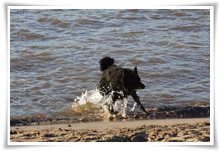 Bild "http://www.happymudi.de/allerlei/galerien/FOTOS-Abendstimmung-Rhein-2008/vorschau/IMG2008-02-09_008.jpg"