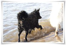 Bild "http://www.happymudi.de/allerlei/galerien/FOTOS-Abendstimmung-Rhein-2008/vorschau/IMG2008-02-09_018.jpg"