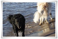Bild "http://www.happymudi.de/allerlei/galerien/FOTOS-Abendstimmung-Rhein-2008/vorschau/IMG2008-02-09_019.jpg"