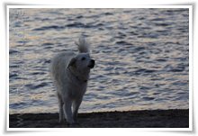 Bild "http://www.happymudi.de/allerlei/galerien/FOTOS-Abendstimmung-Rhein-2008/vorschau/IMG2008-02-09_136.jpg"
