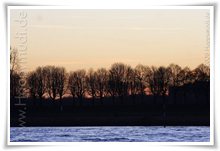 Bild "http://www.happymudi.de/allerlei/galerien/FOTOS-Abendstimmung-Rhein-2008/vorschau/IMG2008-02-09_142.jpg"