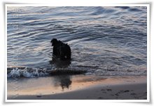 Bild "http://www.happymudi.de/allerlei/galerien/FOTOS-Abendstimmung-Rhein-2008/vorschau/IMG2008-02-09_145.jpg"