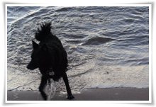 Bild "http://www.happymudi.de/allerlei/galerien/FOTOS-Abendstimmung-Rhein-2008/vorschau/IMG2008-02-09_149.jpg"