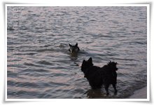Bild "http://www.happymudi.de/allerlei/galerien/FOTOS-Abendstimmung-Rhein-2008/vorschau/IMG2008-02-09_163.jpg"
