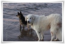 Bild "http://www.happymudi.de/allerlei/galerien/FOTOS-Abendstimmung-Rhein-2008/vorschau/IMG2008-02-09_170.jpg"