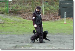 Bild "Moppel_2012-12-01_001__1024x.jpg"