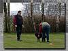 Bild "http://www.happymudi.de/allerlei/galerien/FOTOS-OBEDIENCE-MOPPEL/vorschau/OB_TR_Goe_100_Low.jpg"