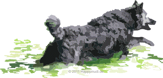 Bild "Grafik_Moppel-rennt_520x.png"