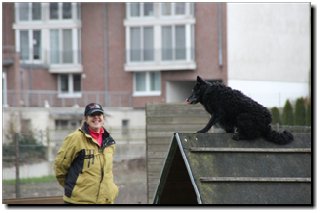 Bild "http://www.happymudi.de/allerlei/kategorien/20_MOPPEL%20der%20Mudi/dateien/IMG2012-03-06_133.JPG"