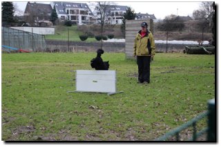 Bild "MOPPEL der Mudi:IMG2012-03-06_195.JPG"