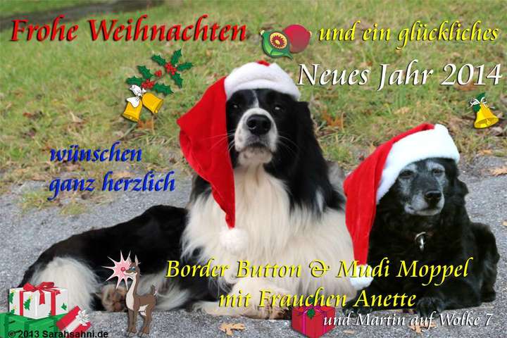 Bild "ARCHIV 2011-2020:Weihnachtskarte_Moppel-Button_2013_720x.jpg"