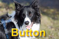 Bild "BUTTON-TitelTASTE_Button_1_120x.jpg"