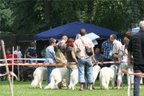 Bild "IMG2008-06-08_178_low.JPG"