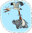 Bild "grauele021.gif"