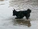 Bild "Banner_2012_X46.jpg"