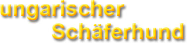 Bild "Banner_2012_X51.jpg"