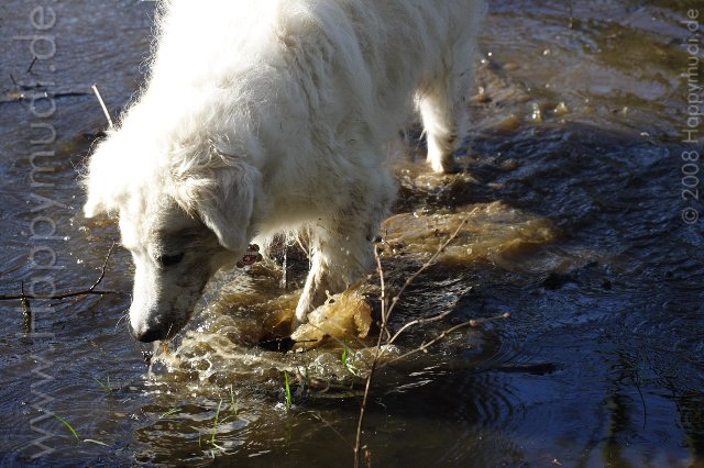 Sarah im Wasser