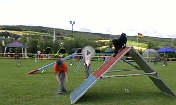 Agility-Sinzig